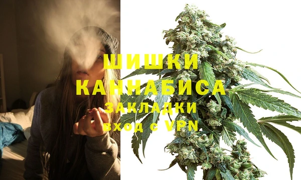 не бодяженный Дмитриев