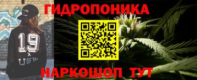 ГАЛЛЮЦИНОГЕННЫЕ ГРИБЫ Донской