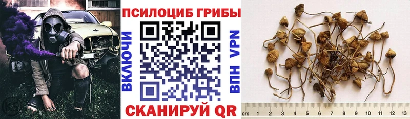Псилоцибиновые грибы Psilocybine cubensis  Наро-Фоминск 